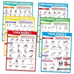 6PCS Workout Posters for Home Gym-Yoga Poses, Stretching and Bodyweight