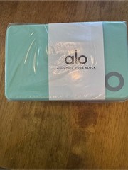 Alo Uplifting Yoga Block in Honeydew/Silver NEW