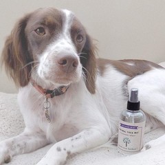 100% Natural Yoga Mat Cleaning Spray 8oz | Works with All Mats | Cleans and R…