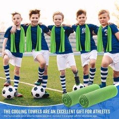 Hosuly 15 Pack Cooling Towels 40 X 12 Cooling Towels For Neck And Face Iced