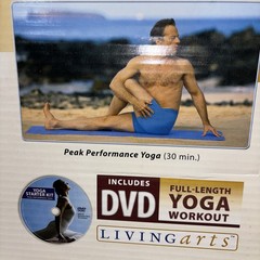 LIVING ARTS Starter Kit- Yoga Mat, YOGA BRICK AND DVD FREE SHIPPING!!!