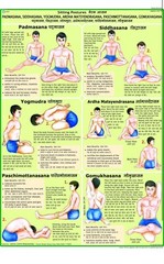 Yoga Charts ( Set of 10 charts )