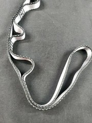 Orbsoul Aerial Silks Replacement Part 1 Hammock Daisy Chain Loop Nylon 15KN New