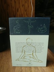 The Yoga Deck 50 Poses & Meditations Breathing By Olivia Miller 2001 Excellent