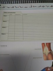 Anatomy of Fitness Pilates Set DVD,64-page Instructional Book and daily journal