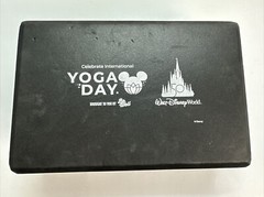 International yoga day block Walt Disney World 50th anniversary of Disney