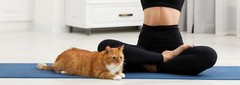 PURINA CAT CHOW YOGA MAT-NEW-SEALED-FAST SHIPPING