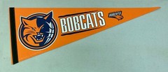 Charlotte Bobcats Basketball NBA Classic 12″x30″ Team Pennant Room Decor Flag