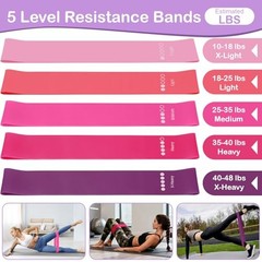 17 PCS Pilates Kit for Women, Pilates Equipment Ring and Ball Set with Purple