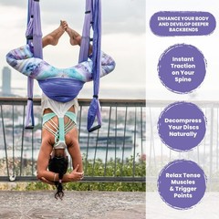 Swing Set for Home & Outdoor | Easy Setup for Strength, Balance & Back Pain R…