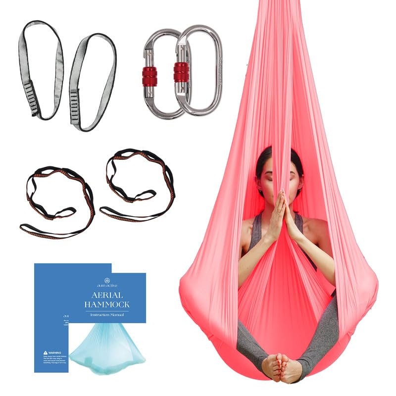 Aerial Silk Yoga Hammock & Swing for Home, Inversion Exercises, Starter Kit f…
