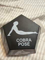 Yoga Dice Poises