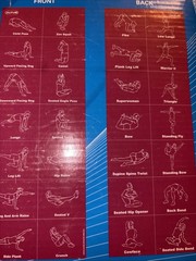 Yoga Mat Altus Folding Mat 28 Printed Poses Exercise Mat