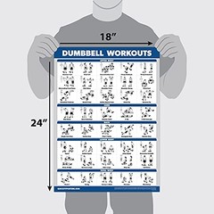 Palace Learning 4 Pack – Dumbbell Workouts + Bodyweight 18” x 24”, LAMINATED