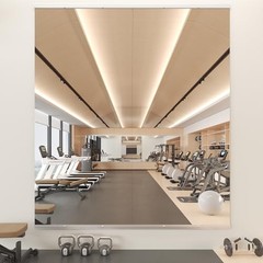 Gym Mirror, 63”x28” 2PCS Mirrors for Home Gym Wall Large, Full Body Mirror