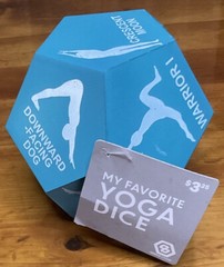 NWT GAIAM FOAM YOGA BLOCK AND YOGA DICE TEAL