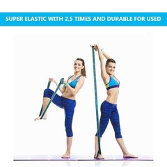 Stretch Strap, Elastic Yoga Stretching Strap, Multi-Loop for Physical Therapy…