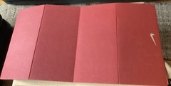 Nike Foldable Foam Yoga/ Fitness Mat With Carry Case Crimson Red Color Cool Find