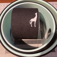 Plexus Chirp Wheel Set