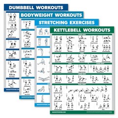 Palace Learning 4 Pack – Dumbbell Workouts + Bodyweight 18” x 24”, LAMINATED