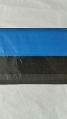 Series 8 Fitness Yoga Block Blue & Black New 9x6x3