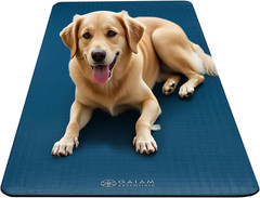 Gaiam Essentials 2/5″ Thick (10Mm) Yoga & Pilates, Fitness & Exercise Mat with E