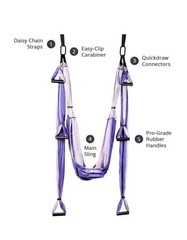Yogabody Yoga Trapeze Inversion Swing Purple Adjustable Straps Home Outdoor Gym