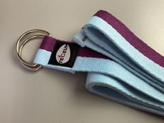 Gaiam Yoga Block And Teceum Strap 8 ft