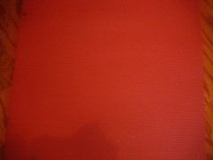 Adidas Yoga Red Mat pre Owned