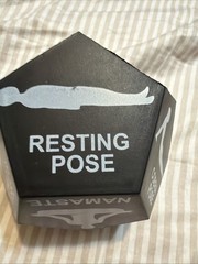 Yoga Dice Poises