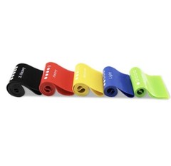 Resistance Loop Band Set Includes 5 Resistance Bands with Carry Bag