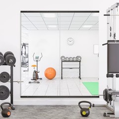 Home Gym Mirror for Wall,56x28x2PCS Full 56″L x 28″W x 2PCS Matte Black