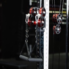 Titan Fitness 89″ Tall Selectorized Wall Mounted Pulley Tower
