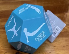 NWT GAIAM FOAM YOGA BLOCK AND YOGA DICE TEAL