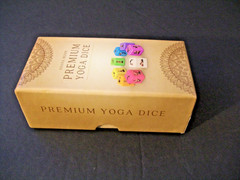 Premium Yoga Dice by Asana Moon 48 Asanas Yoga Poses & Exercises Missing Booklet