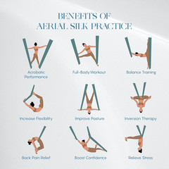 Aerial Silks Yoga Swing Kit 11 Yards | Durable for Home Gymnastics Acrobatic …