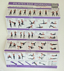 Goocrun Portable Pilates Studio Whole Body Workout| Fitness Poster – New in Box