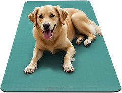 Gaiam Yoga Mat, Pilates & Exercise Mat, Thick Mat 2/5″ (10Mm) Workout Mat with E