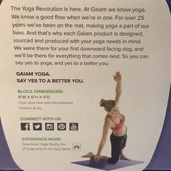Gaiam Foam Yoga Block Purple Brand New/ Original packaging 9″W x 6″H x 4″D