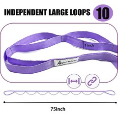 Stretching Strap Yoga Strap with Loops, Stretch Straps for Physical Therapy, …