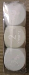 Rae Dunn “HUSTLE.” Sports Bra & Vivitar Yoga Dice Set