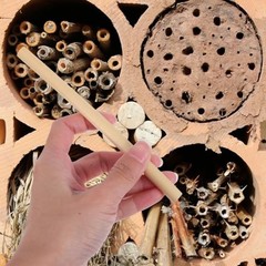 Natural Reed Bee Tubes 100 Pack 5.90 Inch Mason Bee House Tubes for