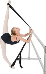 Si-Stretcher Stretching and Flexibility aid for Martial Artists, Dancers, Gym…