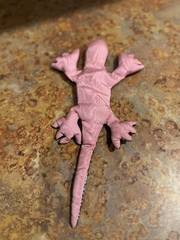 Black and Silver Patterned Sandbag Gecko with Pink Underside
