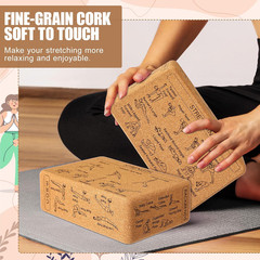 Cork Yoga Blocks 2 Pack Yoga Poses Teaching Cork Blocks, Suitable Poses for Begi