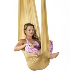 HEALTHYMODELLIFE PINC Active Silk Aerial Yoga Swing & Hammock Kit for Improved Y