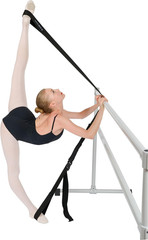 Si-Stretcher Stretching and Flexibility Aid for Martial Artists, Dancers, Gymnas