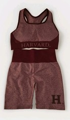 NWT, Harvard Yoga Set M Bottom L Top , In Burgundy