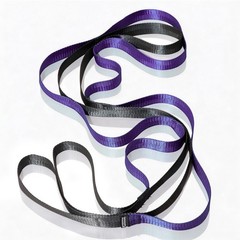 Stretching Strap with 10 Loops – Non-Elastic Yoga Strap for Physical Therapy,…