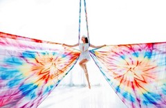 Aerial Silks 13 Yards Yoga Hammock Kit For Home Acrobatics -Rigging Hardware …